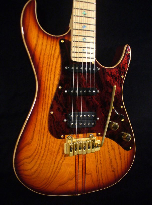 Guitars Zion Guitar Technology