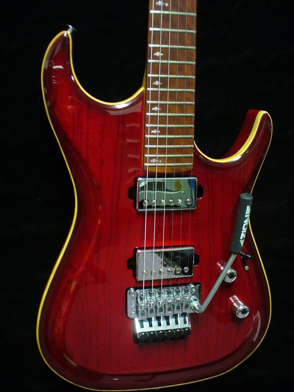 Guitars Zion Guitar Technology