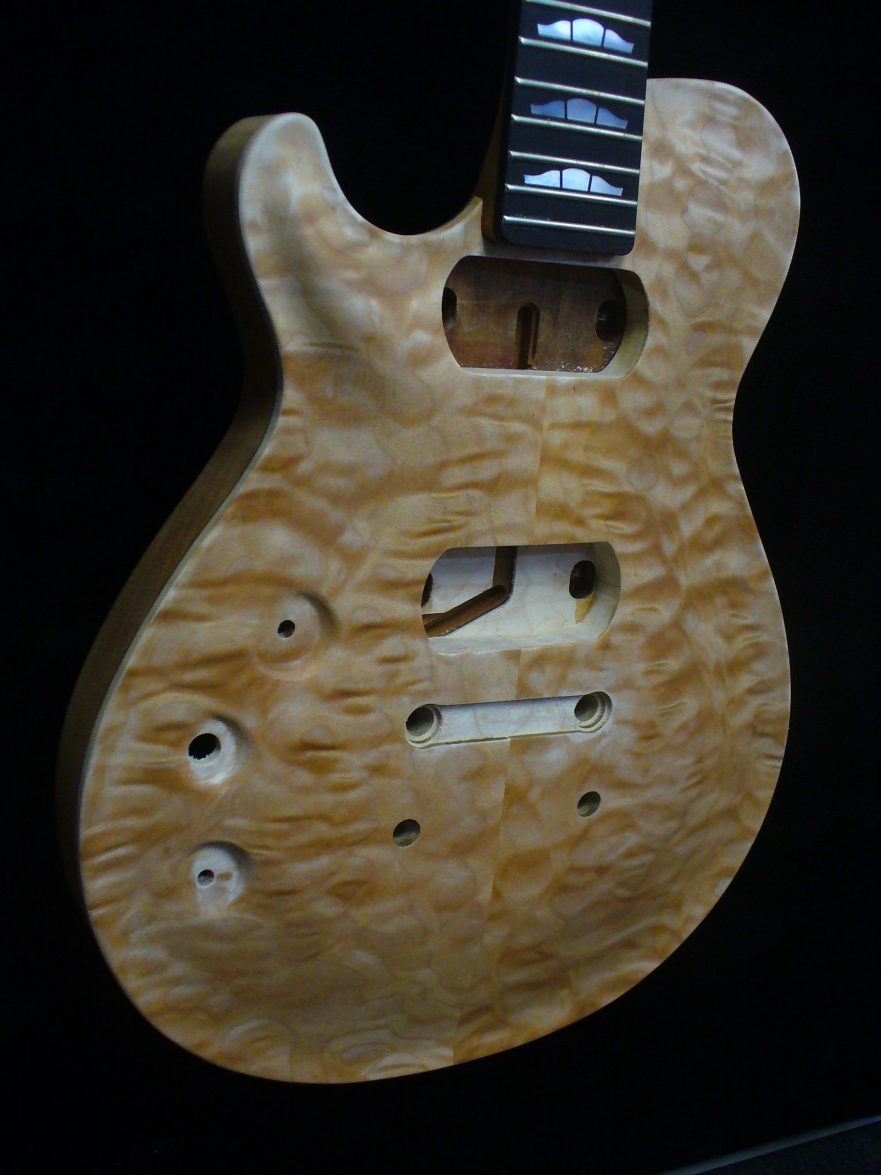 Guitars Zion Guitar Technology