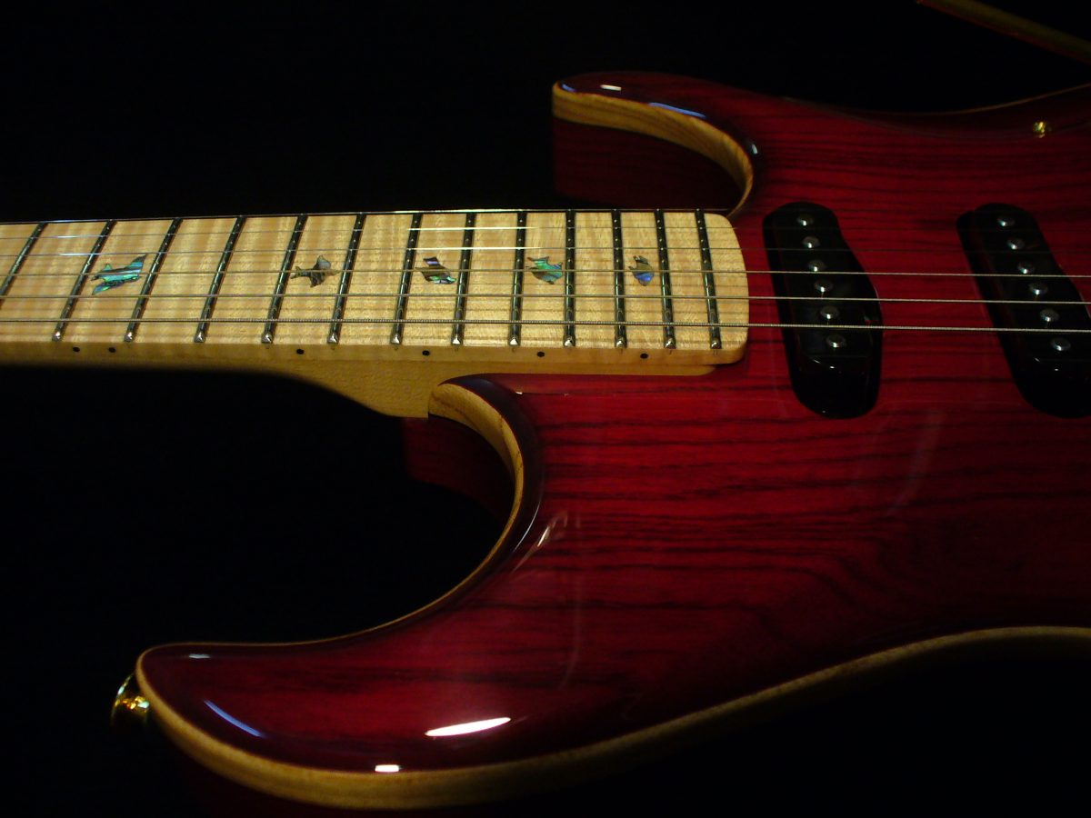 The Classic Zion Guitar Technology