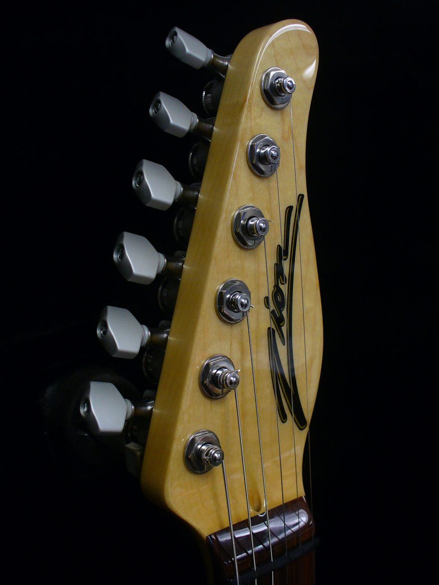 The Classic Zion Guitar Technology